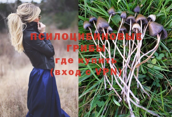 мескалин Абаза