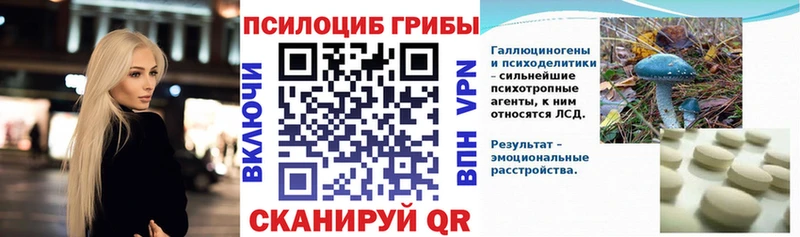 гидра ссылка  Терек  Галлюциногенные грибы Psilocybine cubensis  где найти наркотики 